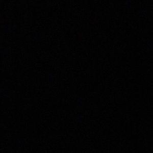 Meet your Posher, Leonardo